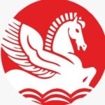 Profile picture of Singhal Industries Private Limited
